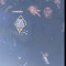 CreepkDa5thk