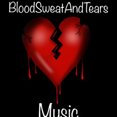 BloodSweatAndTears Music