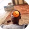 z__jhon