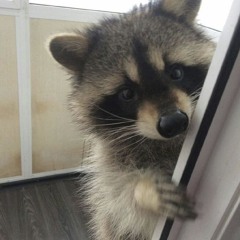keishi