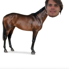 RitsK