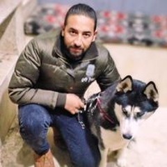 Mohamed Tarek