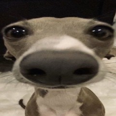 PUST OFF