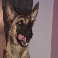 KaiSavvv
