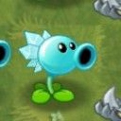 Snow_pea