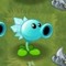 Snow_pea
