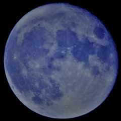 manqchi