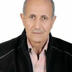 محمد ابوبكر محمد