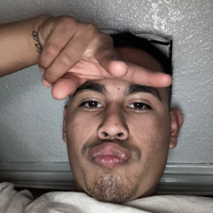 Plyboi Brian
