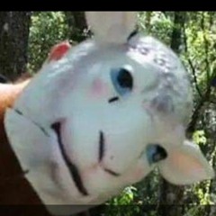 Dustin "Opie" Townsend