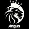 Angus 81