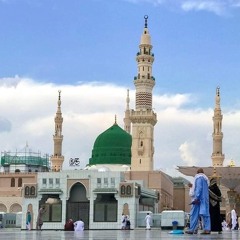 سمية طارق
