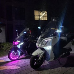블라우풍트