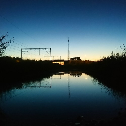 Dancing Witches Of Memphis
