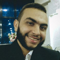 Hassan Nabil