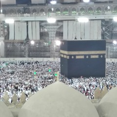 القلب وما يريد