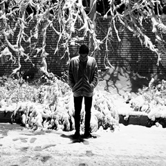 hossein alavian