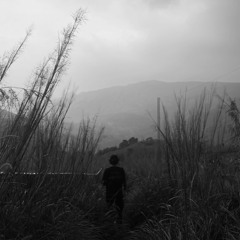 Edwin Shaji