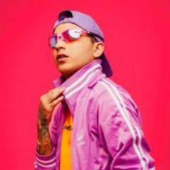 Mc Vertinho - Som do paredão