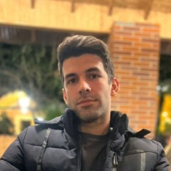 Javad Hosseini