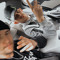 Finzy Music
