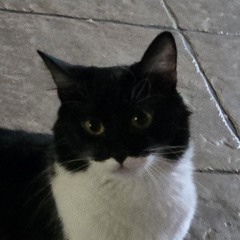 AceThepresidentkillerxx5