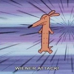 Wiener Attack!