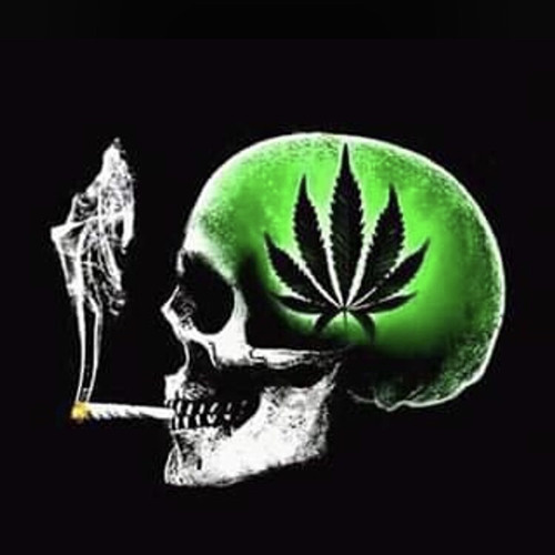 Lil_Weed’s avatar