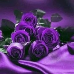 ماما موني ماما موني