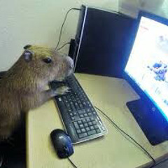 ^_^>‰REQRUT‰<^_^