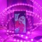 Nancy_Elgaldy