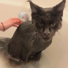 the lord is my Shepard