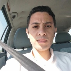 Mohammed Elsayed Alhady