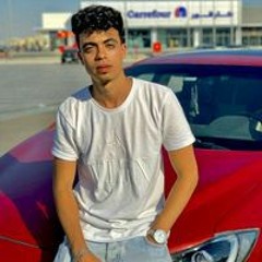 Walid Elsayed