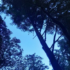 overmyhead