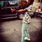 king boomin
