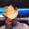 kushcowboy