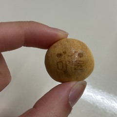 플리