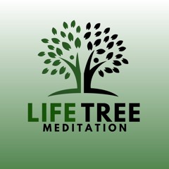 LifeTree Meditation