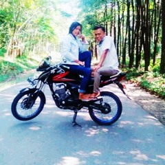 pendi (Seli)