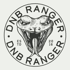 DnB Ranger