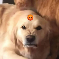 юлар