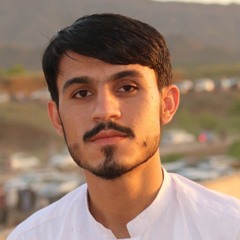 shah zaib