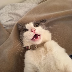 Deibeatmaker Beatmaker