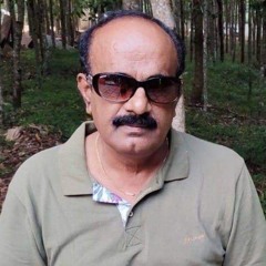 Srinivas Krishna