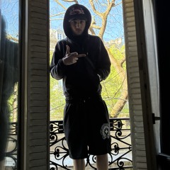 Zvert2k