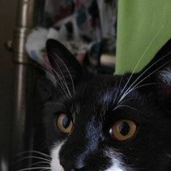 Антипина Екатерина