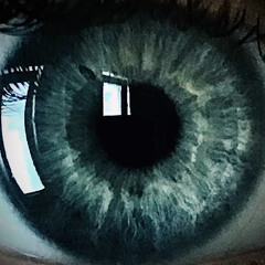 𝕿𝖗𝖎𝖕𝖕𝖞_𝕯