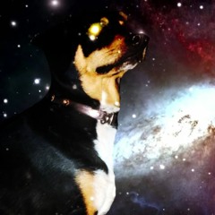 A Dog in Space