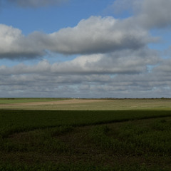 zib